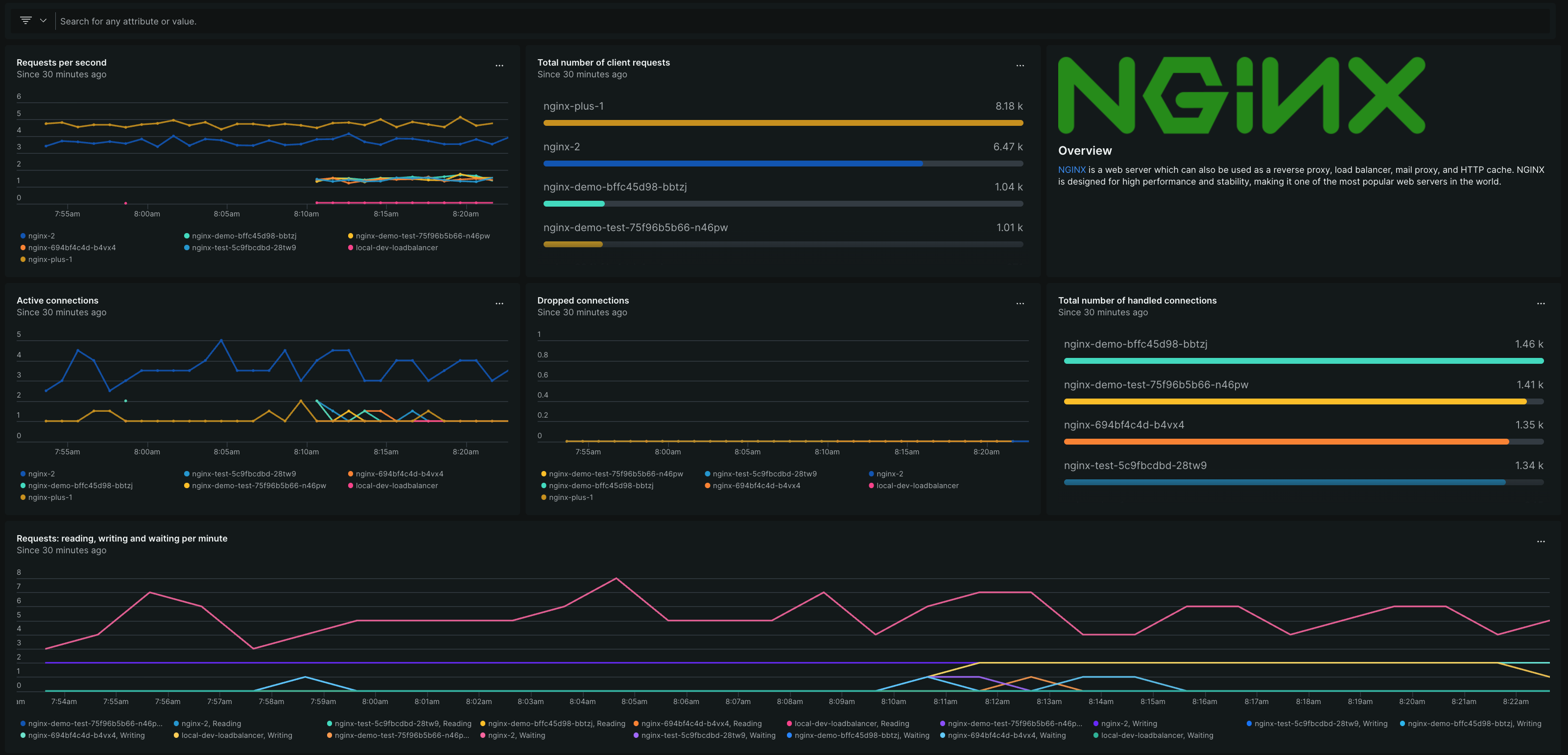 NGINX dashboard Image of the NGINX dashboard